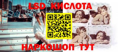 гидропоника Краснодар