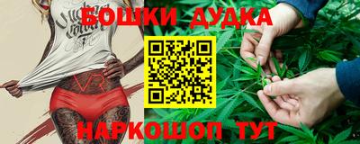 МДПВ Краснознаменск