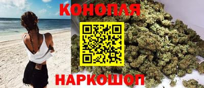 гидропоника Краснодар